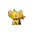Shiny