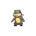 Shiny