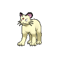 Shiny