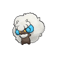 Shiny