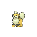 Shiny