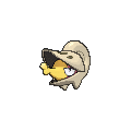 Shiny