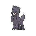 Shiny