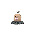 Alola Diglett