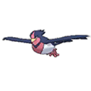Swellow