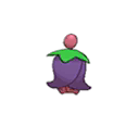 Cherrim
