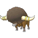 Bouffalant