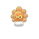Shiny