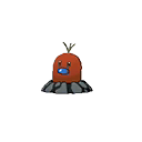 Shiny