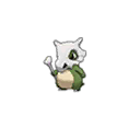 Shiny