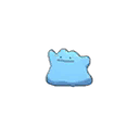 Shiny
