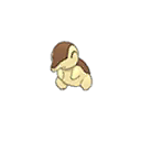 Shiny