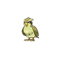 Shiny