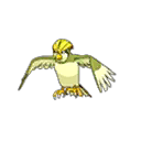 Shiny