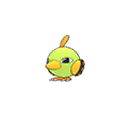 Shiny