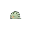 Shiny