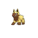 Shiny