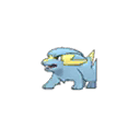 Shiny