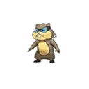 Shiny