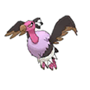 Shiny