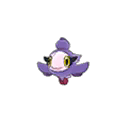 Shiny