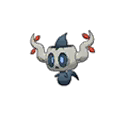 Shiny