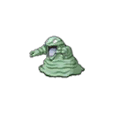 Shiny